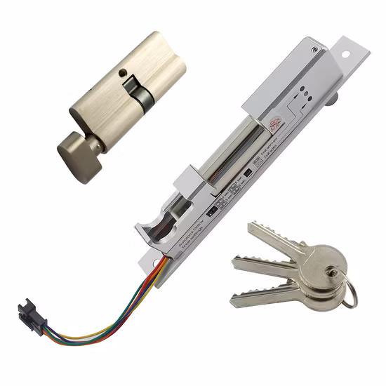 Adjustable Mode Fail-Secure&Fail-Safe Full Solid Stainless Steel Micro Door Lock System with Emergency Key